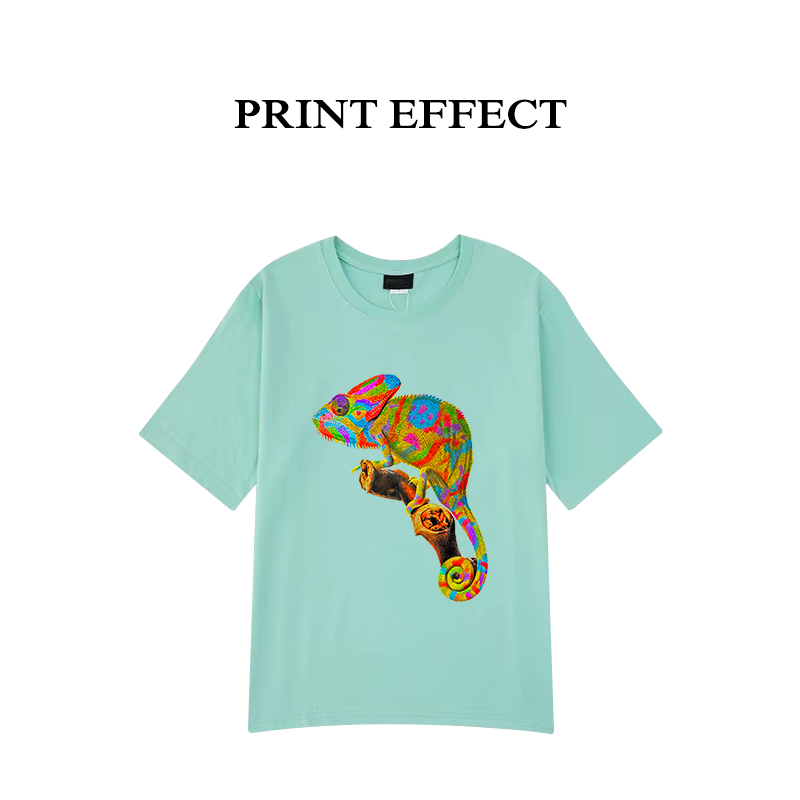 ebay t shirt printer